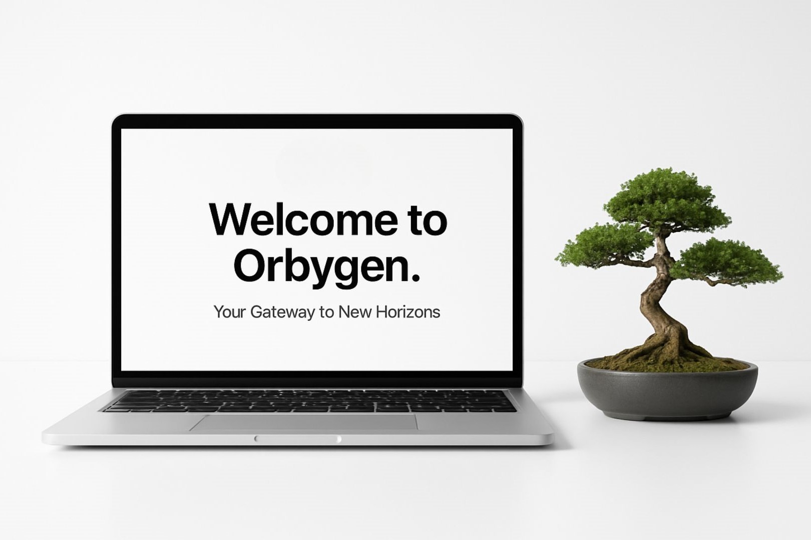 About Orbygen
